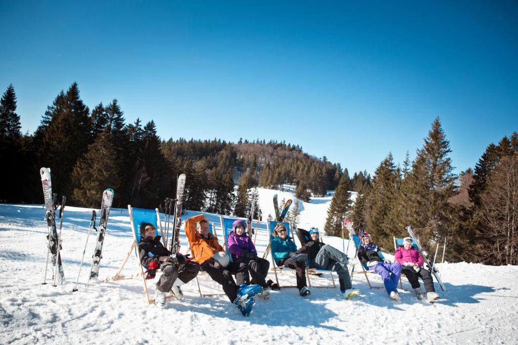 Residence Les Grandes Feignes La Bresse Εξωτερικό φωτογραφία